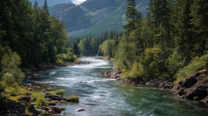 River flowing through lush forest