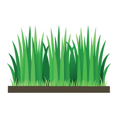Fototapeta premium verdant grass tufts row flat vector illustration