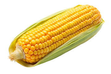 Shucked ear of corn  isolated on white background PNG.AI Generated.