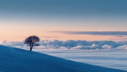 Solitary tree atop a snow-covered hill, clouds blanket the valley below, serene winter landscape