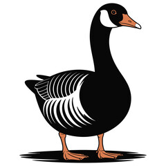 goose on white background