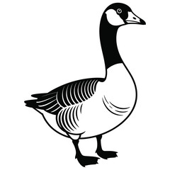 goose isolated on white background