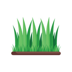 verdant grass tufts row flat vector illustration