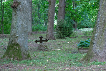 broken iron Christian cross in old cemetery between huge trees