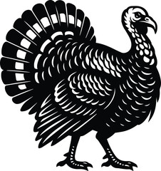 Simple Wild Turkey Design graphic vector