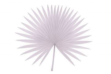 Obraz premium Light purple palm leaf isolated on transparent background, evoking tropical vibes and adding a touch of exoticism