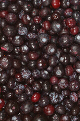 A close-up, top-down view of a large pile of freshly thawed blueberries, showing their texture and natural color variations