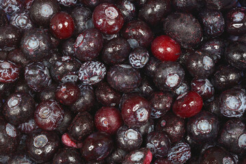 A close-up, top-down view of a large pile of freshly thawed blueberries, showing their texture and natural color variations