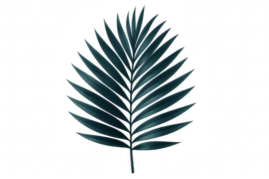 Close-up of a single, isolated tropical dark green palm leaf, perfect for adding a touch of exotic nature to any design with its transparent background - Powered by Adobe