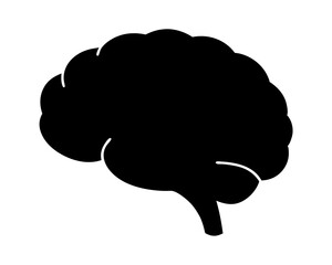 Black Silhouette of a Human Brain on White Background Illustrating Intelligence