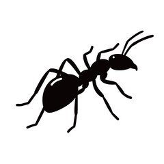 silhouette of an ant on a white background