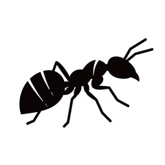 silhouette of an ant on a white background