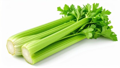 Vibrant Abstract Composition with Colorful Shapes and Fluid Lines Evoking Energy and Movement in Art