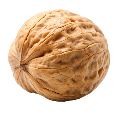 Obraz premium walnut isolated on white background