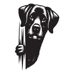 Vector silhouette of  dog on white backgroud.