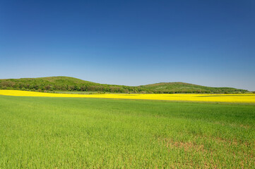 A picturesque landscape showcases a vibrant field with a clear blue sky and rolling hills.