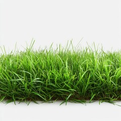 Vibrant green grass isolated on white background perfect for nature themed designs and spring promotions