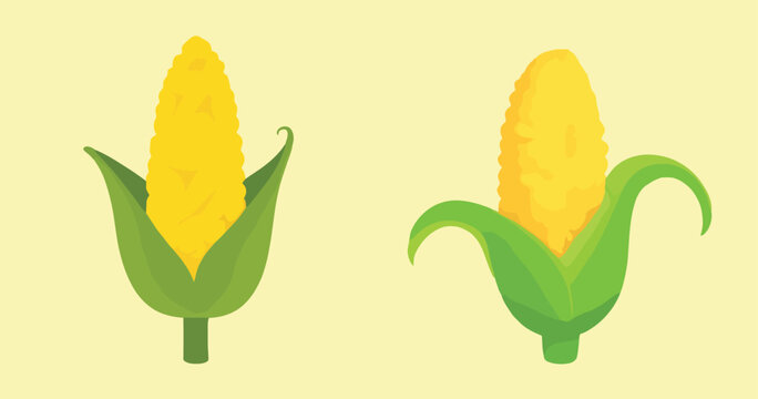 Stylized Corn on the Cob Vector Clipart Set
