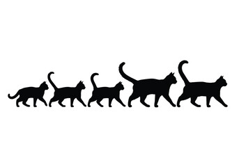 Five black cat silhouettes walking in a single file line, arranged in order of increasing size.