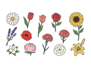 Floral Collection: A vibrant collection of meticulously illustrated botanical specimens bursting with color and detail, offering a visual feast of nature's artistry. 