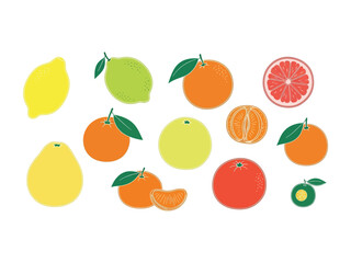 Citrus Variety Illustration: An assortment of vibrant citrus fruits, showcasing a spectrum of colors and forms, meticulously illustrated to highlight their refreshing and natural appeal.
