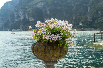 Jezioro Garda  © wedrownik52