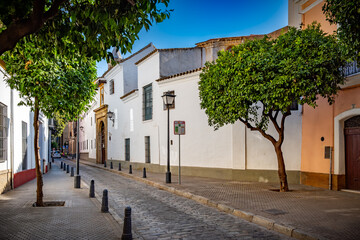 Sevilla, España. 1 de julio de 2025. Las amplias calles arboladas cerca del centro histórico de...