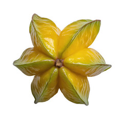 Ripe star fruit isolated on transparent background