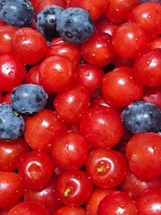 Fresh Red Cherries and Blueberries with Water Droplets