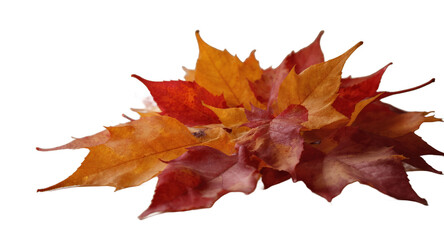 Obraz premium Autumn Leaves Vibrant Red and Orange Fall Foliage Photography