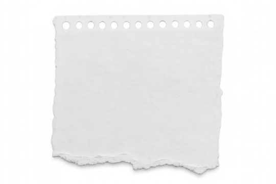 Blank white torn notebook page with punched holes, ready for custom text or graphic design on transparent backdrop