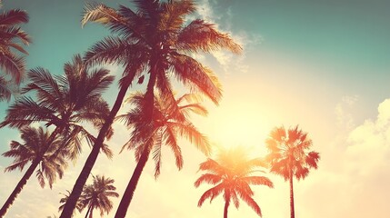 Obraz premium Tropical palm trees silhouette against a vibrant sunset sky.