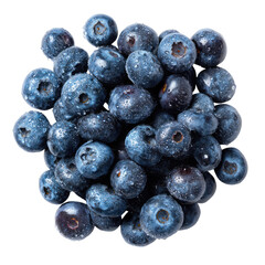 Quaint Stone Cottage Surrounded by Lush Vegetation and Nature