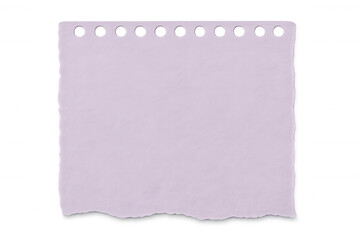 Blank purple ripped notebook paper with holes isolated on transparent background, ready for your message