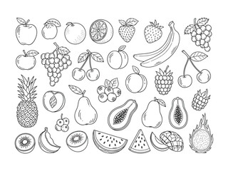 Assortment of Fruits Illustration: A monochrome illustration showcases an array of fresh, delicious fruits. It’s a visually appealing resource for illustrating a healthy lifestyle.