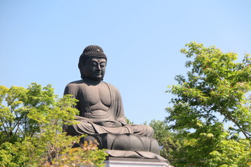 木々と大仏様の風景1