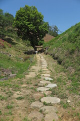 山と木と石の歩道の風景1