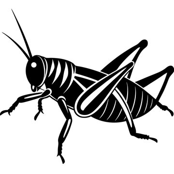 black grasshopper insect silhouette clip art preview