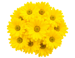  Fresh Yellow Floral Arrangement PNG, Cutout Transparent Background