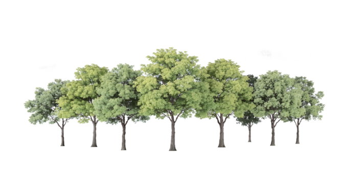 High-Resolution 3D Render of Lush Green Trees, Perfect for Landscaping Design Projects