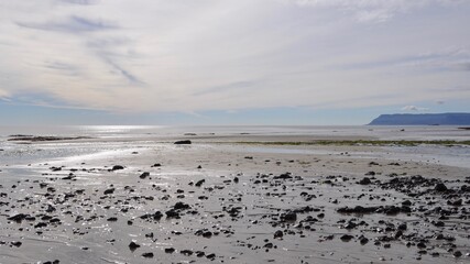 Rocky Beach at Low Tide in Iceland Under Bright Sky