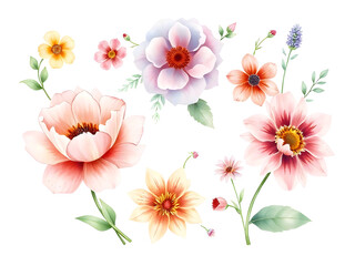 A beautiful set of hand-painted watercolor flowers. An artistic botanical collection of various blossoms and leaves isolated on white.