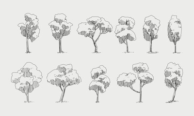 Set of trees element nature hand drawing symbol for architecture and landscape vector illustration. Isolated on white background.