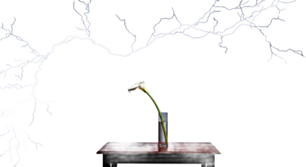 Serene Calla Lily in Glass Vase Against Dramatic Lightning Storm Backdrop