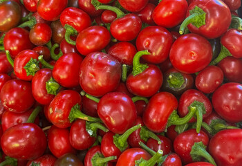 Fresh round red chili peppers close up with green stems