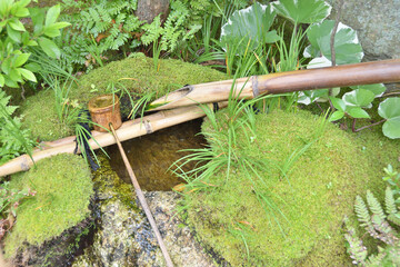 退蔵院の手水鉢