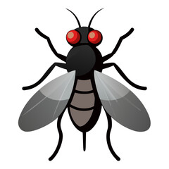 Fototapeta premium Horsefly