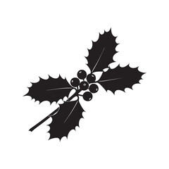 black and white poinsettia