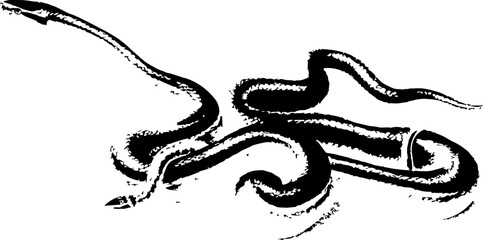 abstract illustration snake silhouette. Illustration of shape as an example of snake design. Diseño abstracto de serpiente en color blanco, negro, verde y guinda. PNG. VEXTOREN. JPG