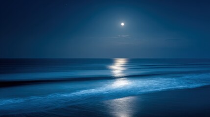Fototapeta premium Moonlit Seascape with Gentle Waves: A Serene Nighttime Coastal Scene Ideal for Relaxation and Inspiration